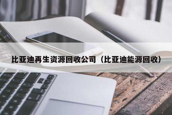 比亞迪再生資源回收公司（比亞迪能源回收）
